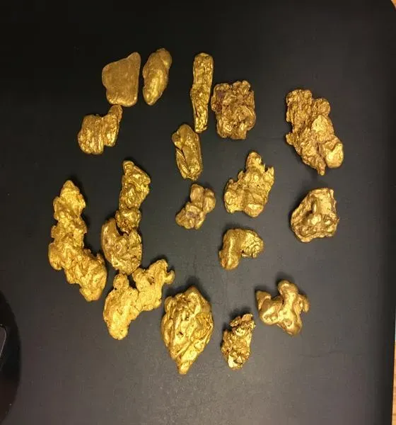 gold-nuggets